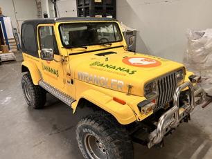 Habillage JEEP WANGLER VINTAGE - BANANAS