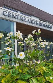 CENTRE VETERINAIRE